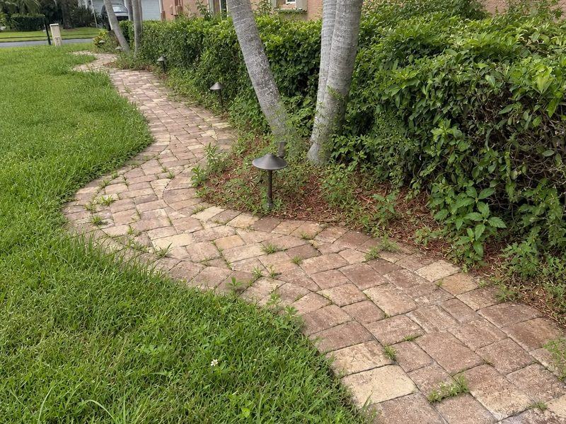 Front walkway before โ weeds growing through the pavers and an overgrown hedge line